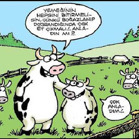 Kurbanlık karikatürler güldürüyor galerisi resim 10