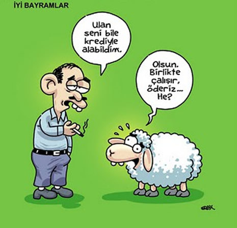 Kurbanlık karikatürler güldürüyor galerisi resim 24