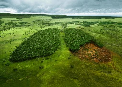 Dünyanın en iyi photoshopları galerisi resim 14