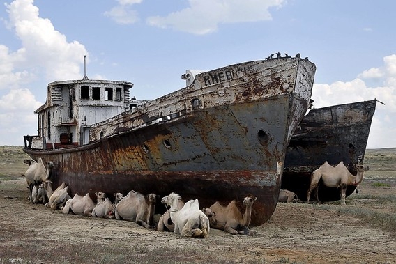 Bunların burada ne işi var? galerisi resim 1