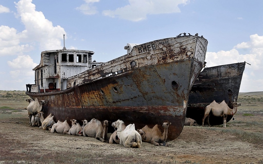 Bunların burada ne işi var? galerisi resim 13