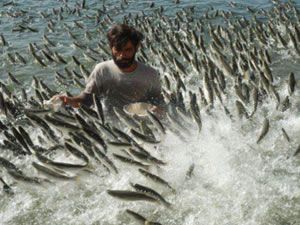 Yok artık dedirten fotoğraflar