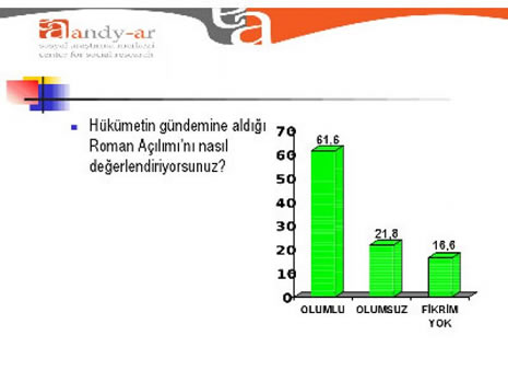 Muhalefeti üzen anket galerisi resim 10