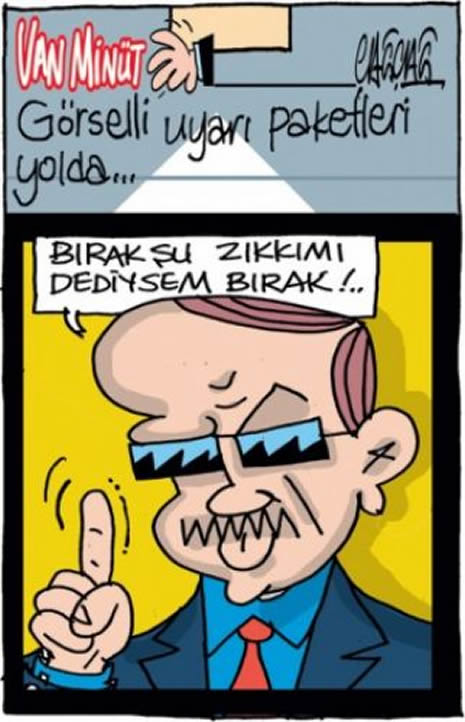 12 ayın karikatürleri  galerisi resim 16