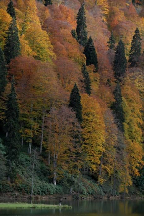 Doğu Karadeniz'de saklı bir cennet galerisi resim 10