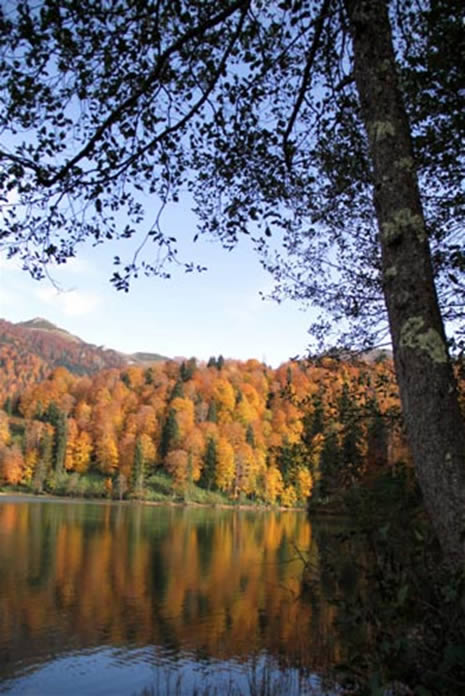 Doğu Karadeniz'de saklı bir cennet galerisi resim 12