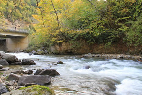 Doğu Karadeniz'de sonbahar görüntüleri galerisi resim 11