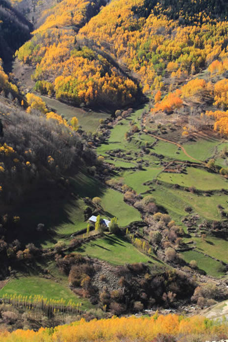 Doğu Karadeniz'de sonbahar görüntüleri galerisi resim 3