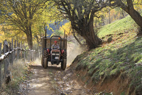 Doğu Karadeniz'de sonbahar görüntüleri galerisi resim 6