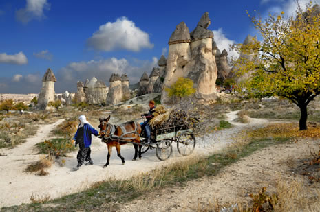 National Geographic'in en iyileri galerisi resim 10