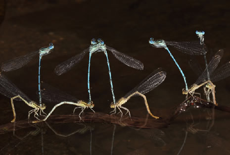 National Geographic'in en iyileri galerisi resim 5