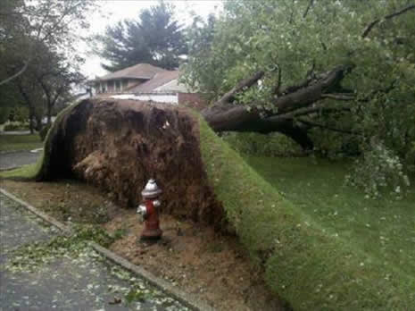 Güldüren fotoğraflar galerisi resim 20