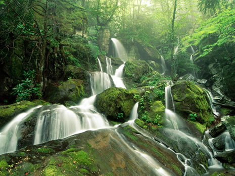 Huzur veren doğa fotoğrafları galerisi resim 13