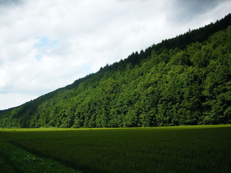 Huzur veren doğa fotoğrafları galerisi resim 16