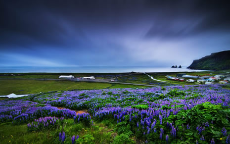 Huzur veren doğa fotoğrafları galerisi resim 4