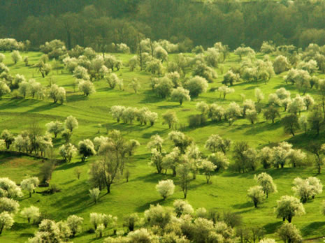 Huzur veren doğa fotoğrafları galerisi resim 9