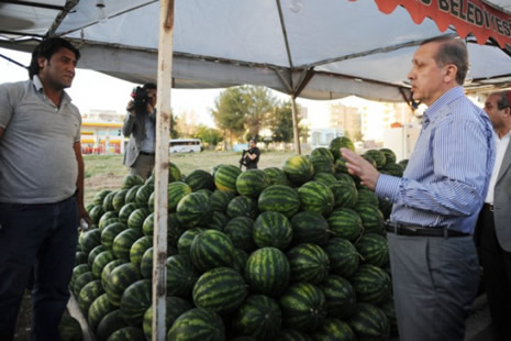 Başbakan Erdoğan'ın karpuz keyfi galerisi resim 3