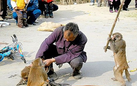 Doğa insandan intikamını böyle aldı galerisi resim 7