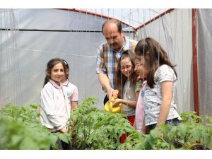 Kocaeli’de okul bahçesine kurulan seralar minik öğrencileri toprakla tanıştırıyor