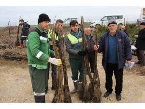 Kocaeli’de tarım ve hayvancılığı milyonluk destek