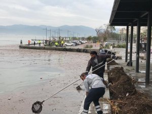 İzmir’de selden sonra körfezden 25 ton çöp toplandı