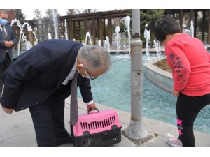 Başkan Büyükkılıç’tan otizmli Ayşe Nisa’ya ’kedi’ sürprizi