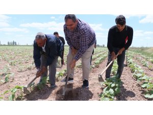 Aksaray’da tarımsal üretim hız kesmeden devam ediyor