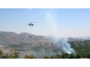 Bingöl’de iki gündür süren orman yangınına havadan ve karadan müdahale ediliyor