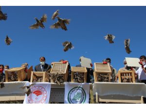 Yozgat’ta üretilen 16 bin 800 keklik doğaya salınıyor