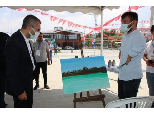 Van Gölü manzaralı ‘Ulusal Resim’ çalıştayı