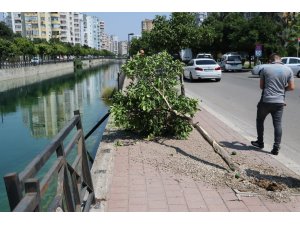 Sulama kanalına düşen otomobildeki 2 kişi yüzerek kurtuldu