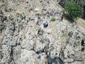 Yaban hayvanlarının saldırısından kaçan keçileri AFAD ve jandarma ekipleri kurtardı