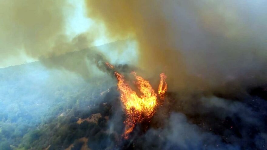Milas ve Bodrum’da orman yangını