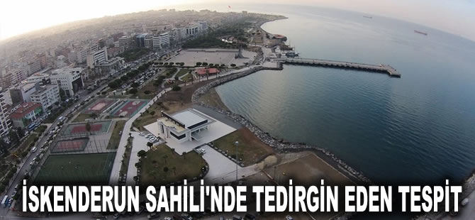 Uzmanlar ikinci gelişlerinde fark etti: İskenderun Sahili'nde tedirgin eden tespit