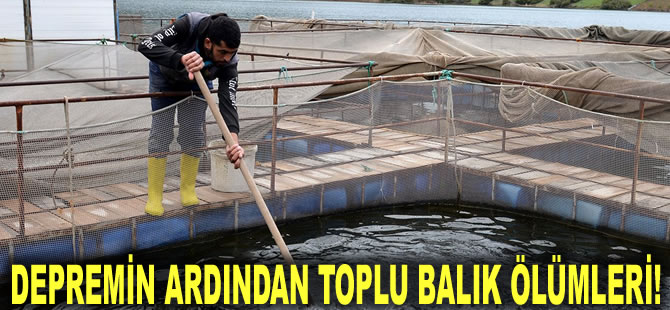 Depremin ardından toplu balık ölümleri! 54 ülkeye ihracat yapılıyordu...