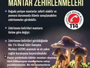 Karacasu’da türü bilinmeyen mantarların satışı yasaklandı