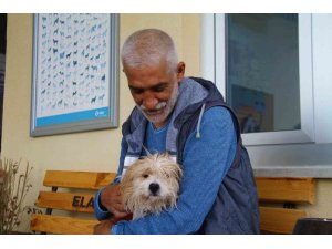 Muğla’da çalınan köpek, çipi sayesinde Elazığ’da bulunarak sahibine teslim edildi