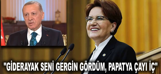 Akşener'den kendisini hedef alan Erdoğan'a yanıt: Giderayak seni gergin gördüm, papatya çayı iç