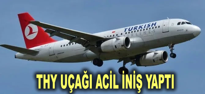 Yolcu kabin ekibine saldırdı, THY uçağı acil iniş yaptı