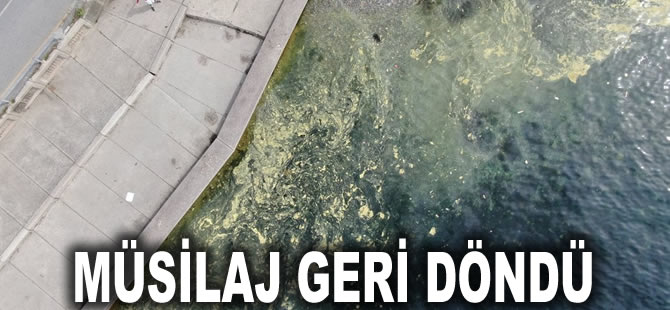 Marmara Denizi'nde korkulan oldu: Müsilaj geri döndü