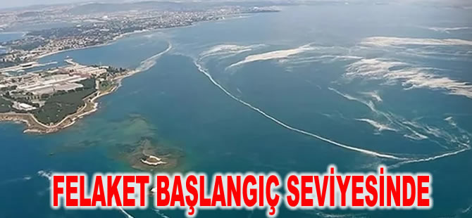 Marmara Denizi'nde 2 yıl önce ortaya çıkmıştı: Felaket kremsi yapısıyla geri döndü