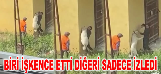 Köpeğe işkence anbean kamerada: Biri işkence etti diğeri sadece izledi