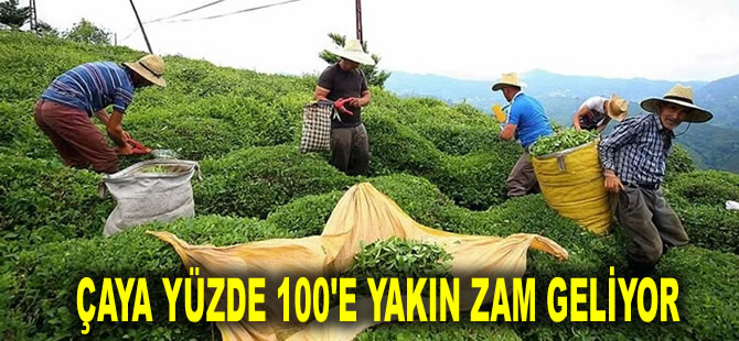 ÇAYSİAD uyardı: Çaya yüzde 100'e yakın zam geliyor