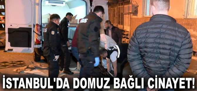 İstanbul'da domuz bağlı cinayet! Evdeki yangını söndürmeye giden ekipler cansız bedenini buldu