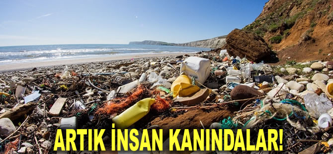 Artık insan kanındalar! Tek kullanımlık plastikler için acil önlem çağrısı