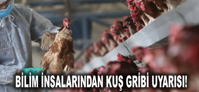 Bilim insanlarından ‘kuş gribi’ uyarısı: Virüs hızla değişiyor