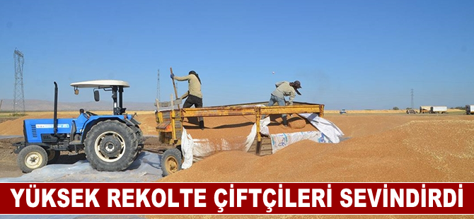 Yüksek rekolte çiftçileri sevindirdi