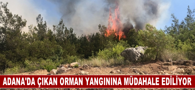 Adana'da çıkan orman yangınına müdahale ediliyor