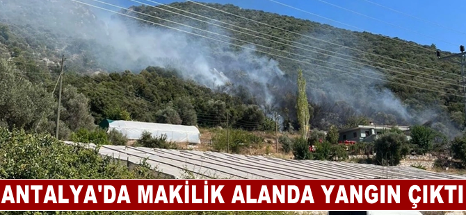 Antalya'nın Kaş ilçesinde makilik alanda yangın çıktı