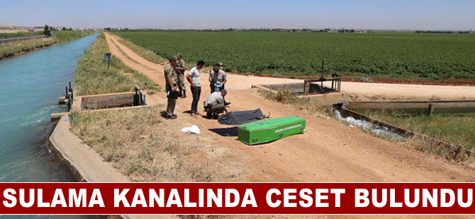 Şanlıurfa'da sulama kanalında ceset bulundu